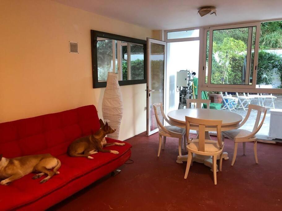 Apartamento Abierto Con Patio Matadepera Exterior foto